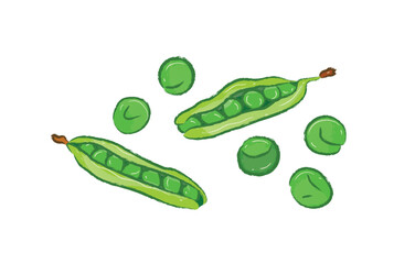 Fresh raw green peas beans