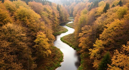 A Rivers Serpentine Path Through a Valley of Golden Autumn Foliage.