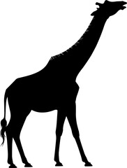 Giraffe Silhouette Vector Illustration