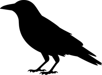 Crow Silhouette Vector Illustration