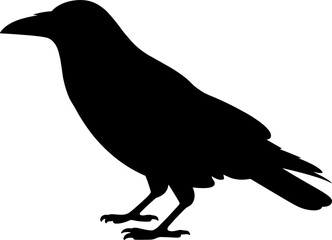 Crow Silhouette Vector Illustration