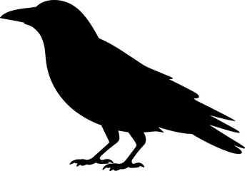 Crow Silhouette Vector Illustration