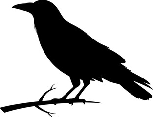 Crow Silhouette Vector Illustration