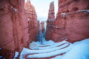 Winter Bryce © Galyna Andrushko