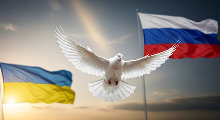 A white dove the symbol of peace flies between the national flags of Ukraine and Russia