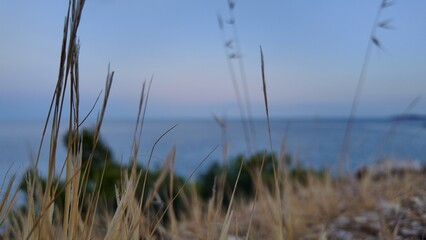 Ocean View &ndash; Okyanus Manzarası