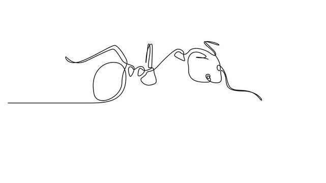 Drawing animation of Ants continuous one line drawing vector outline. Full lenght animation