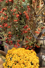 A rustic market showcases a beautiful arrangement of red berries and bright yellow flowers, capturing the essence of autumn's bounty and seasonal charm.