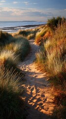Obraz premium Coastal path through golden dunes at sunset