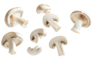 Assorted fresh white mushrooms scattered artistically isolated on transparent background