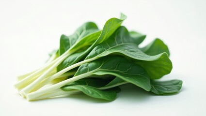 Close-up of fresh, vibrant green chard leaves.