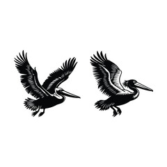 Obraz premium Animal Bundle