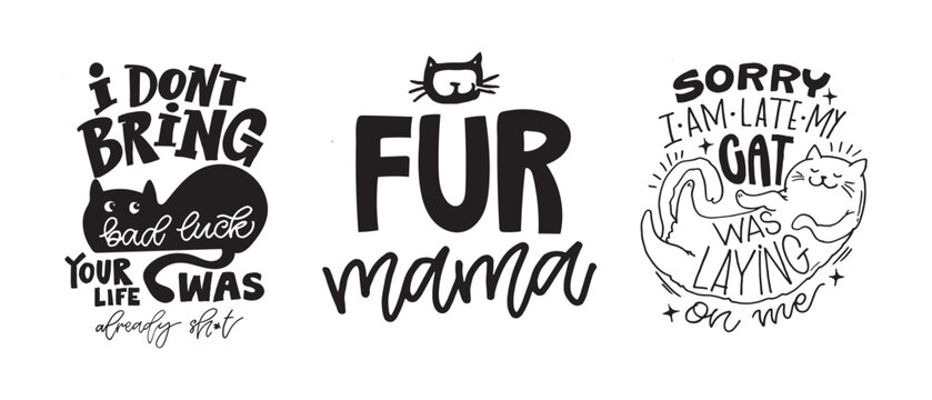 100% hand drawn vector image. Cute hand drawn doodle lettering quote about cats. Lettering for t-shirt design, mug print, bag print, clothes fashion.  - Powered by Adobe