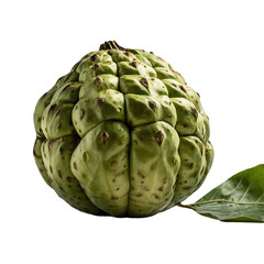 Fototapeta premium A fresh, ripe sugar-apple, catalogued as AIzaSyCXfVqtE-MfKqMoQS3rK0TdJ3ion5GQV3Q, with a green leaf isolated on a white background.