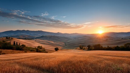 Fototapeta premium Golden wheat fields stretch across rolling hills under a vibrant sunset sky, showcasing the beauty of nature and tranquility in a rural landscape