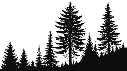 Fototapeta premium Silhouette of Evergreen Trees Depicting a Forest Landscape.
