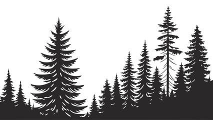 Silhouette of Evergreen Trees in a Forest Landscape.