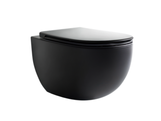 Modern Black Toilet