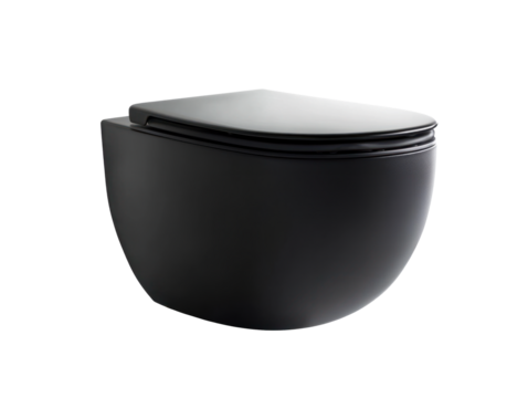 Modern Black Toilet