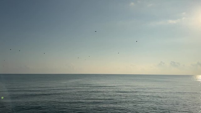 flock of birds flying over the sea along the horizon in calm coastal atmosphere