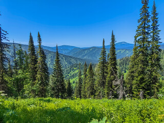 The stunning landscape features green trees and mountains under a clear, bright blue sky.