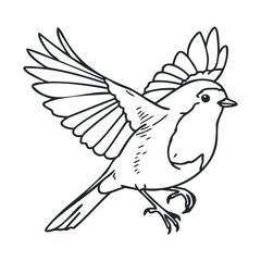 Fototapeta premium Line art of flying bird with spread wings