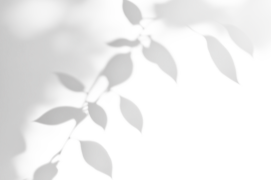 shadow overlay effects of realistic abstract natural tree leaves shadow on wall background,Summer sunlight and shadow overlay effect,shadow for photo interior backdrop studio mockup