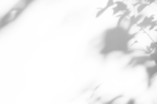 shadow overlay effects of realistic abstract natural tree leaves shadow on wall background,Summer sunlight and shadow overlay effect,shadow for photo interior backdrop studio mockup