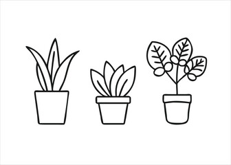 Charming hand drawn cartoon style illustration of assorted potted plants and succulents in a ceramic container isolated on white background