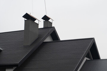 Fields are filled with blooming mustard plants, featuring bright yellow flowers and lush green leaves, basking in the warm spring sunshine against a clear sky