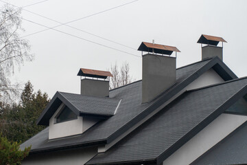 Bright yellow mustard flowers bloom vibrantly in a field that is bordered by a picturesque farmhouse and lush green trees, showcasing nature's beauty in early spring