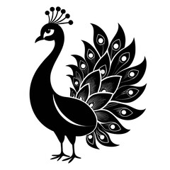 peacock, feather, bird, animal, blue, nature, peacock feather, colourful, colours, horizontal, pride, cut out, male, tail, no people,Central Panel vector clean black silhouette design white background