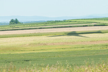 Fototapeta premium Poland, Krakow, Balice Airport, Shadow af a Landing Aircraft