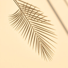 Obraz premium top view of tropical palm leaf shadow on sand color background. minimal summer concept. flat lay