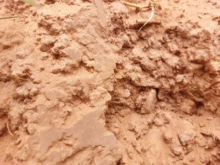 pile of dirt