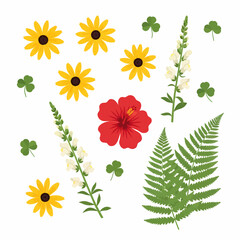 Naklejka premium An arrangement of various botanical elements including sunflowers, shamrocks, a hibiscus, snapdragons, and fern fronds, scattered on a white background.