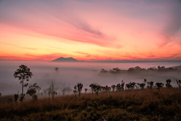 A breathtaking view of a misty valley during sunrise, with glowing orange skies and silhouetted trees in the foreground.