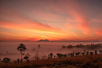 Obraz premium A breathtaking view of a misty valley during sunrise, with glowing orange skies and silhouetted trees in the foreground.