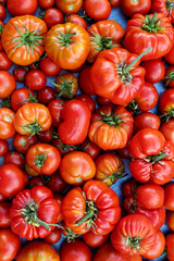A colorful assortment of organic tomatoes
