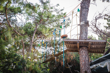 Side view full body of teenager in protective helmet riding on rope while entertaining in green jungle park