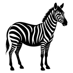 Zebra vector clean black silhouette design white background