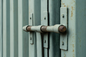 Rows of vibrant mustard plants thrive in a lush green field, basking in the sun's warm rays, showcasing their bright yellow flowers and rich foliage