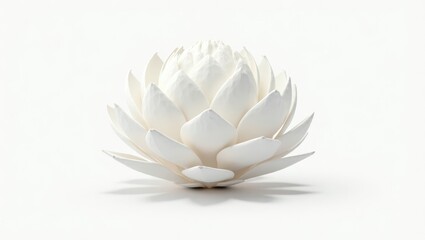 Fototapeta premium A white lotus flower, detailed and isolated against a plain background.