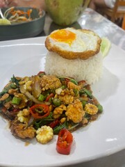 Thai stir-fried chicken with basil, vegetables and fried egg