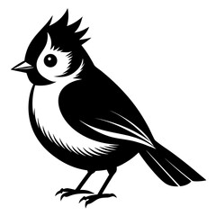 Titmouse vector clean black silhouette design white background 