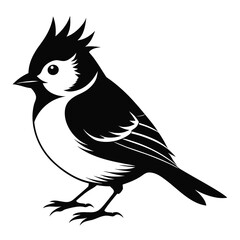 Titmouse vector clean black silhouette design white background 