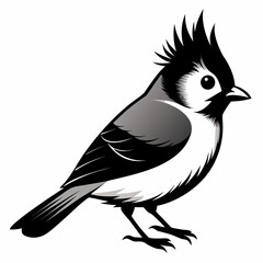 Titmouse vector clean black silhouette design white background 