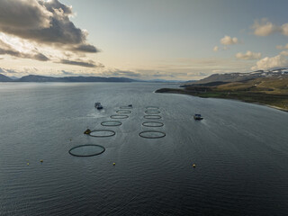 salmon fish farm in Norway