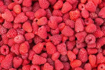 Fresh red ripe raspberries. Raspberries background.