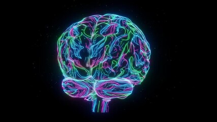 Neon Brain: Rotating 3D Model of Human Brain Anatomy - Powered by Adobe